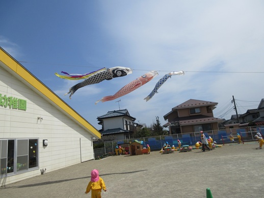 こいのぼりに負けず元気に遊んでいます